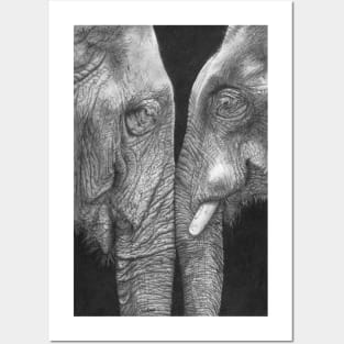 Eye To Eye realistic elephant drawing Posters and Art